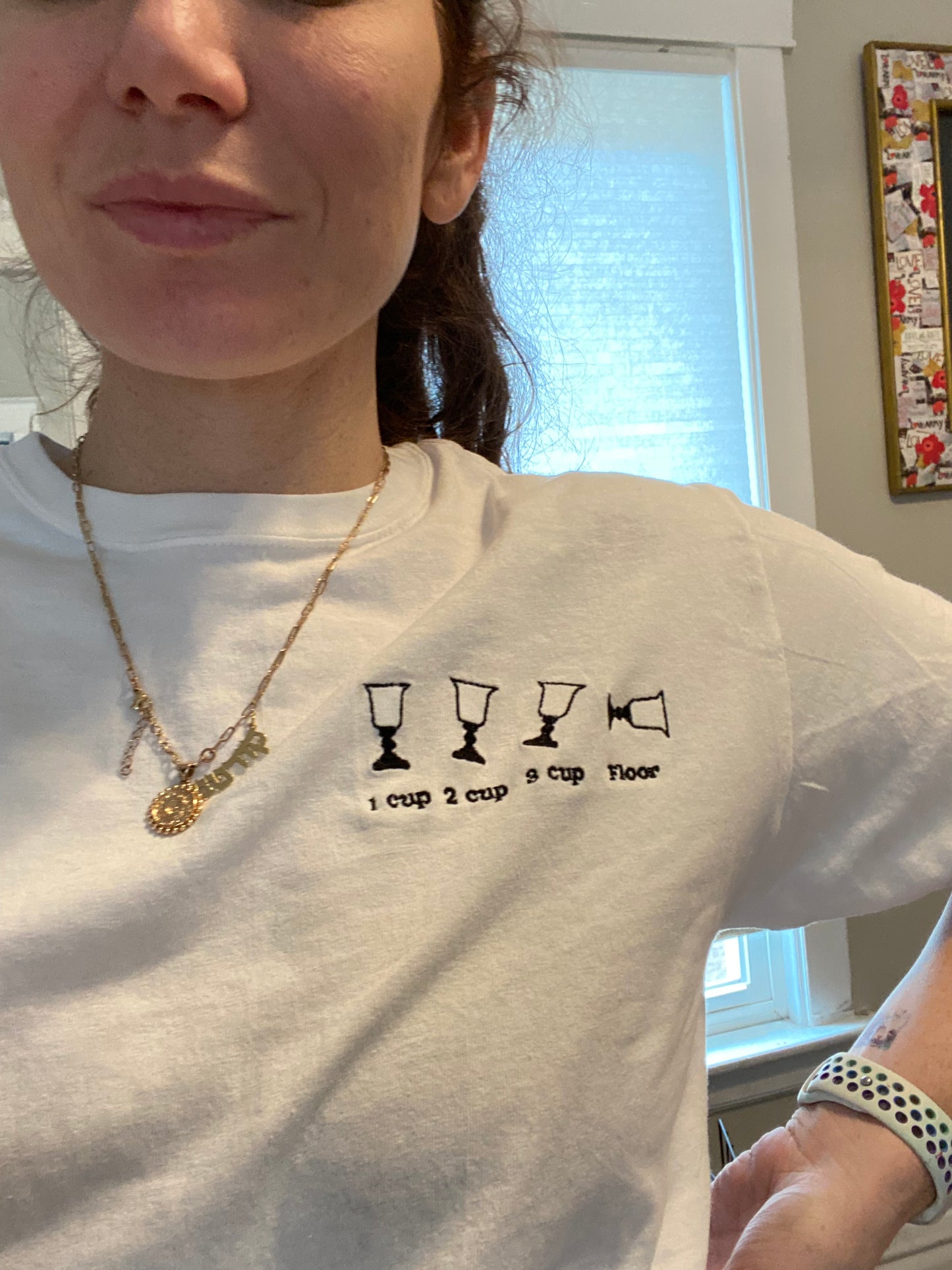 Passover wine shirt