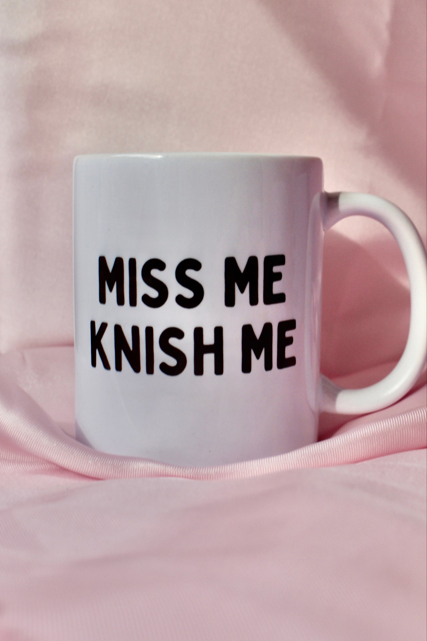 Miss Me Knish Me Mug